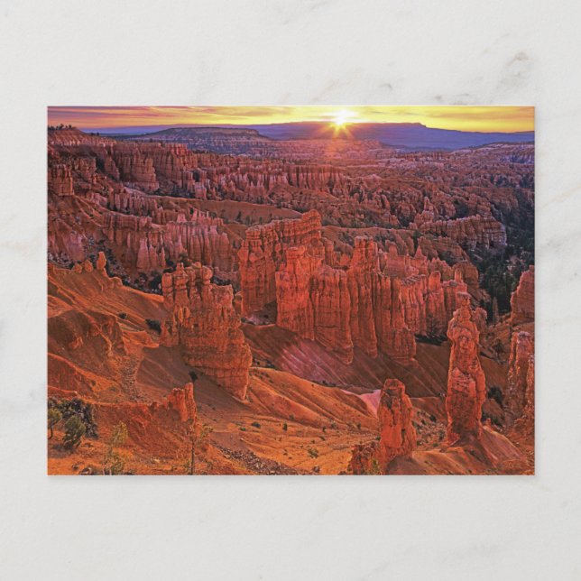 Amerikas förenta stater, Utah, Bryce Canyon Nation Vykort (Framsida)