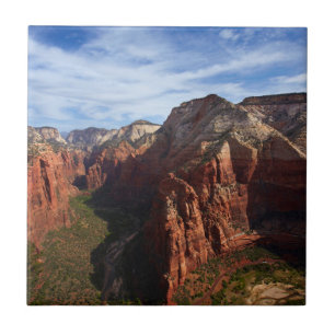 Amerikas förenta stater, Utah, Zion National Park Kakelplatta