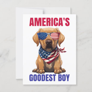 Amerikas mest välmående labrador vykort