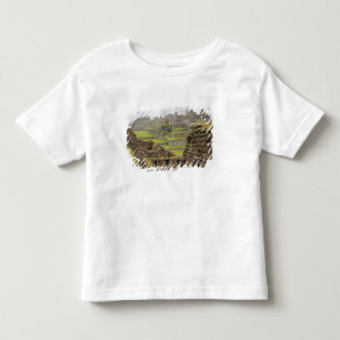 Amerikas, Peru, Machu Picchu. Den forntida Tee Shirt