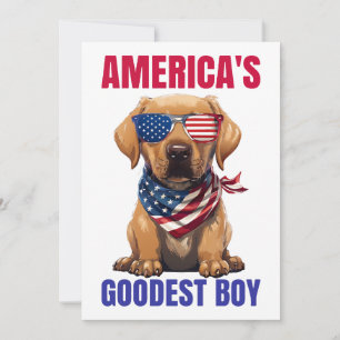Amerikas snällaste Labrador Inbjudningar
