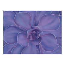 Amethyst Sukkulent Tryck | Lila Botanisk Konst
