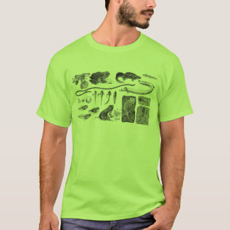 Amfibisk evolution t-shirt