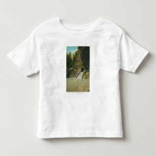 Amfiteatern hänrycker beskådar tee shirt