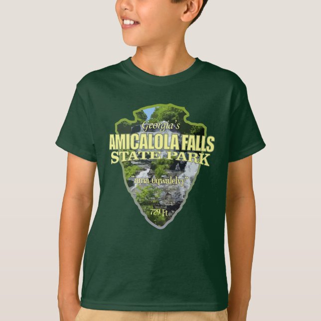 Amicalola Falls (pilspets) T Shirt (Framsida)
