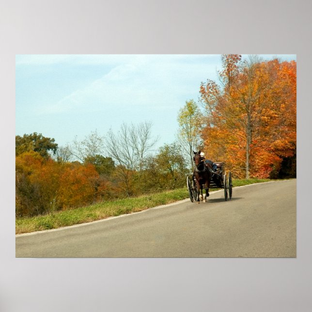 Amich Buggy-utskrift Poster (Framsidan)