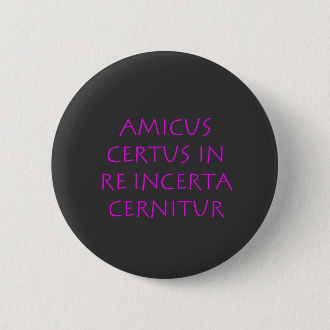 Amicus certus in re incerta cernitur knapp (Framsida)