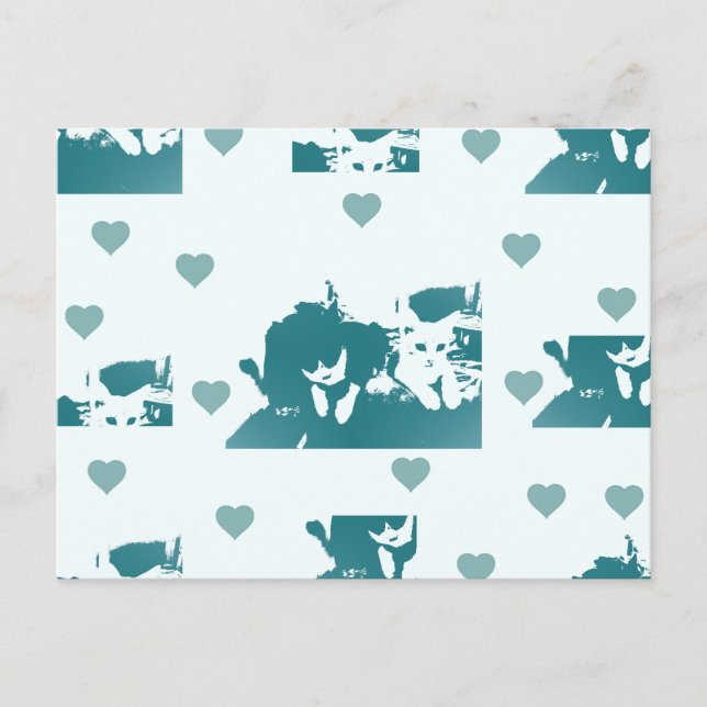 Amigos Felinos. Vykort (Framsida)