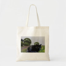 Åminnelse av Ashoka