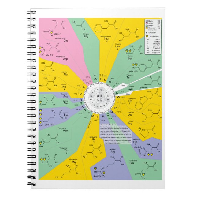 Amino syrliga rest för genetisk koddiagramvisning anteckningsbok med spiral (Framsidan)
