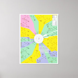 Amino syrliga rest för genetisk koddiagramvisning canvastryck