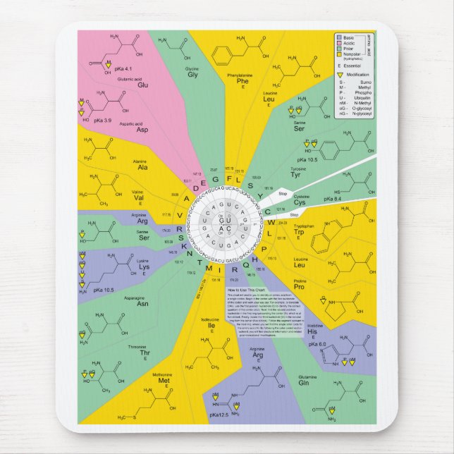 Amino syrliga rest för genetisk koddiagramvisning musmatta (Framsidan)