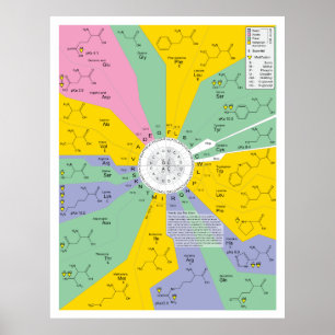 Amino syrliga rest för genetisk koddiagramvisning poster