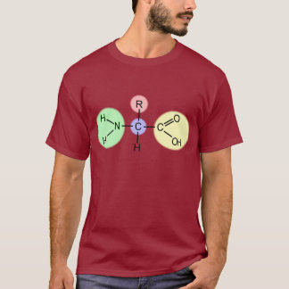 Amino syrligt diagram tee shirt