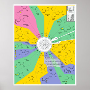 Amino syrligt kemiskt molekylID kartlägger Poster