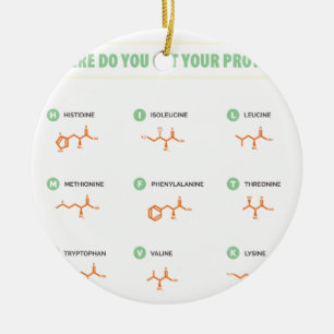 Amino syror - var får du ditt protein? julgransprydnad keramik