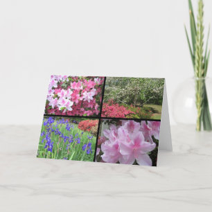 Aminstkort för azalea dogwood iris kort