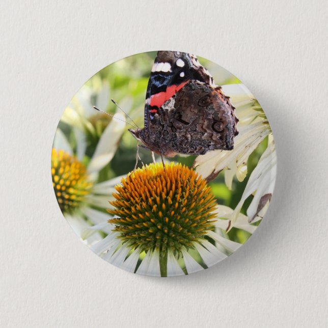 Amiral Butterfly på Flower Knapp (Framsida)
