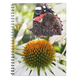Amiral fjäril på blomma anteckningsbok med spiral