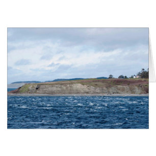 Amiralty Lighthouse Hälsningskort