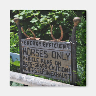 Amish att parkera undertecknar magnet