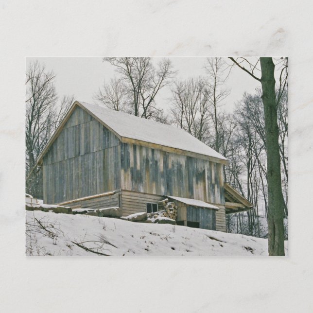 Amish Barn-Postcard Vykort (Framsida)