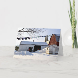 Amish Barnyard på Christmastime Helgkort