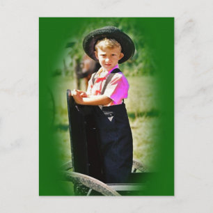 Amish Boy Postcard Vykort