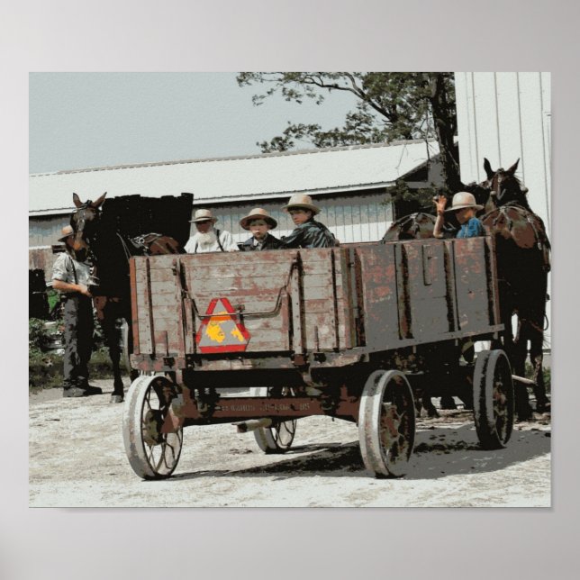 Amish Boy Vinkarare Poster (Framsidan)