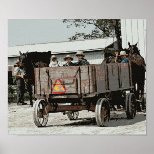 Amish Boy Vinkarare Poster