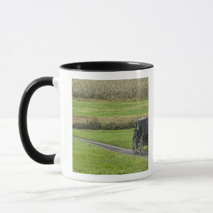 Amish-buggi på bondgata, nordöstra Ohio, Mugg