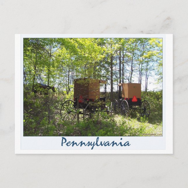 Amish Buggies Vykort (Framsida)