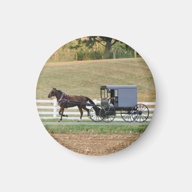 Amish buggy Carenerneten Magnet (Framsidan)