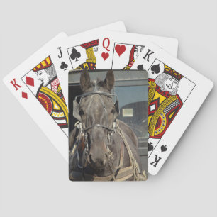Amish Buggy Horse Spelkort