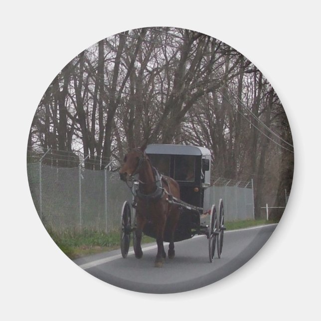 Amish Buggy Magnet (Framsidan)