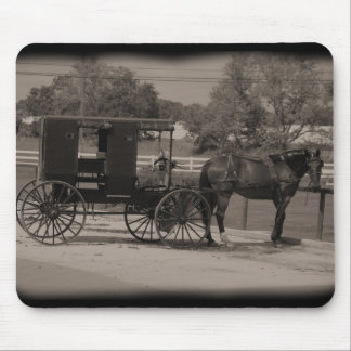 Amish Buggy Musmatta