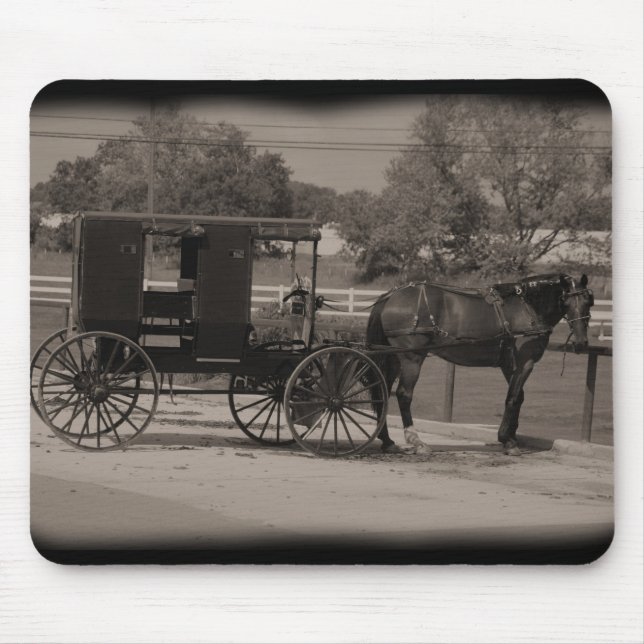 Amish Buggy Musmatta (Framsidan)