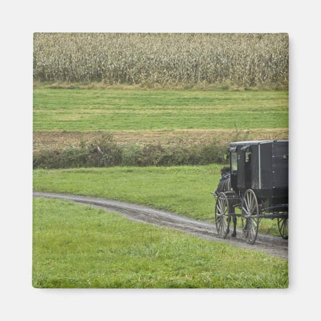 Amish buggy on farm lane, Northeast Ohio Magnet (Framsidan)