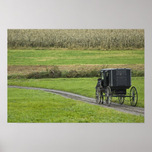 Amish buggy on farm lane, Northeast Ohio Poster