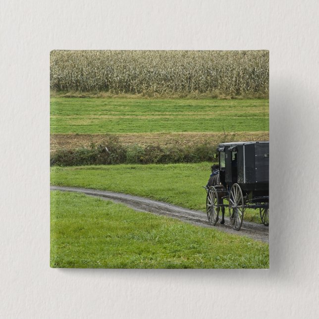 Amish-buggy på bondgata, nordöstra Ohio, Knapp (Framsida)