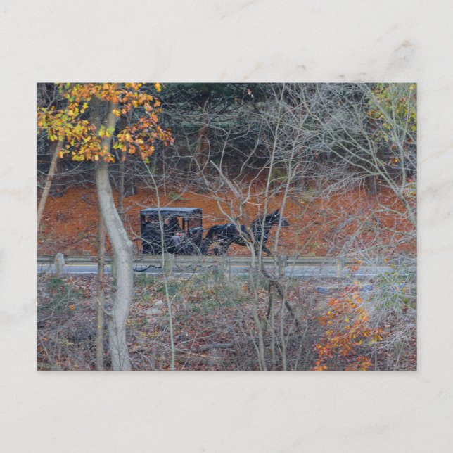 Amish Buggy på en Landsbygdsväg i höst, Ohio Vykort (Framsida)