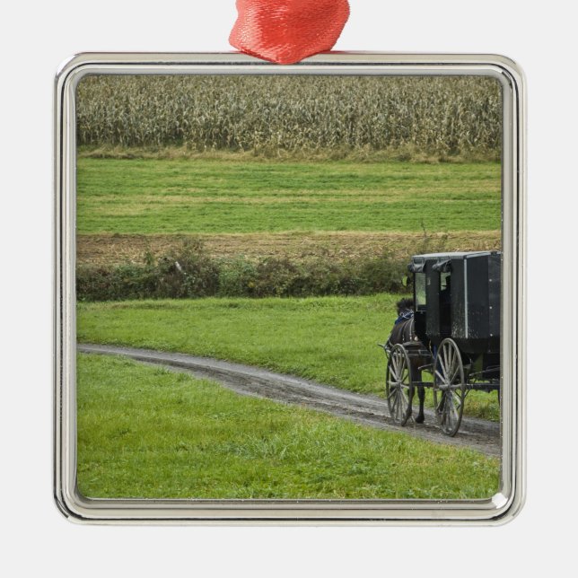 Amish buggy på lantgårdlanen, nordöstra Ohio, Julgransprydnad Metall (Framsidan)