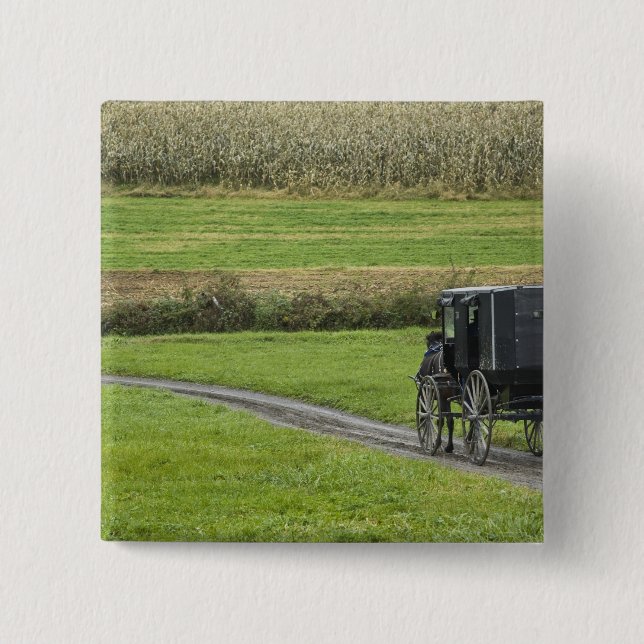 Amish buggy på lantgårdlanen, nordöstra Ohio, Knapp (Framsida)