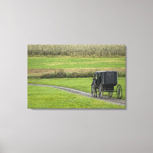 Amish-buggy på lantlig väg, nordöstra Ohio, Canvastryck