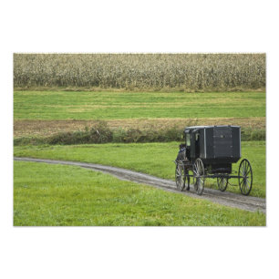 Amish-buggy på lantlig väg, nordöstra Ohio, Fototryck
