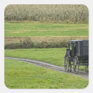 Amish-buggy på lantlig väg, nordöstra Ohio, Fyrkantigt Klistermärke