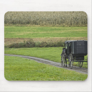 Amish-buggy på lantlig väg, nordöstra Ohio, Musmatta