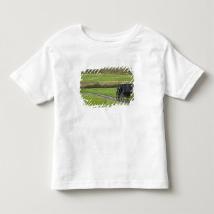 Amish-buggy på lantlig väg, nordöstra Ohio, T-shirt