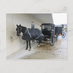 Amish Buggy på Pennsylvanias marknad Vykort