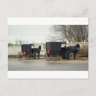 Amish Buggy "Parking Lot" Vykort